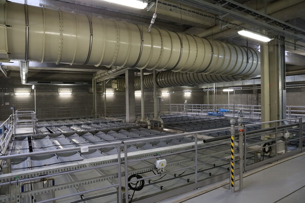 Nerozpuštěné nečistoty klesají ke dnu