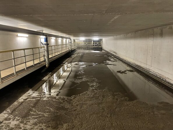 Inspirace přírodou