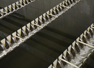 Biologické čištění