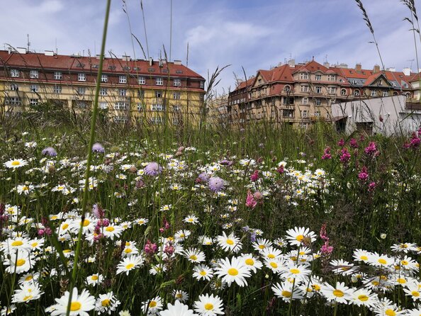Rovnoměrný přítok - nerovnoměrná spotřeba